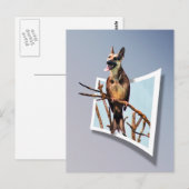 Birdog "Out of Bounds" Postkarte (Vorne/Hinten)