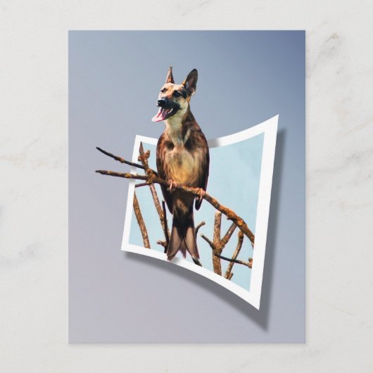 Birdog "Out of Bounds" Postkarte (Vorderseite)