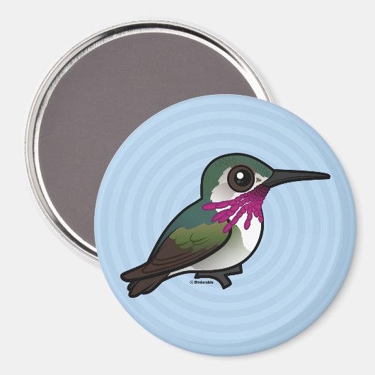 Birdorable Calliope Hummingbird Magnet (Vorderseite/Rückseite)