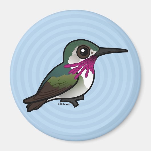 Birdorable Calliope Hummingbird Magnet (Vorne)