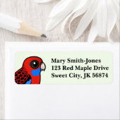 Birdorable Crimson Rosella (Insitu)