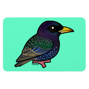 Birdorable European Starling Magnet