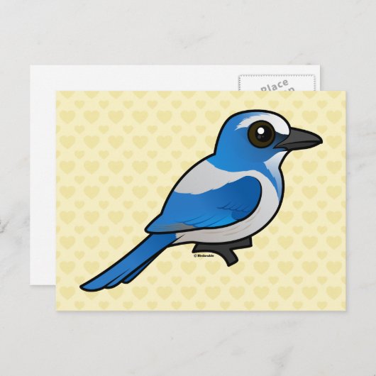 Birdorable Florida Scrub-Jay Postkarte (Vorne/Hinten)