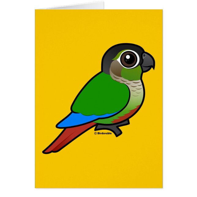 Birdorable Grünes-cheeked Conure (Vorne)