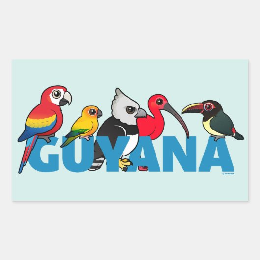 Birdorable Guyana Rechteckiger Aufkleber (Vorderseite)