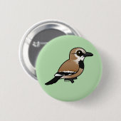 Birdorable Iran Ground Jay Button (Vorne & Hinten)