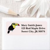 Birdorable Keel-schnabel Toucan (Insitu)