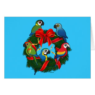 Birdorable Macaws Weihnachtskrieg