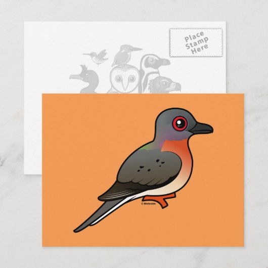 Birdorable Passagiertaube Postkarte (Vorne/Hinten)
