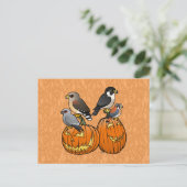 Birdorable Rapers on Pumpkins Postkarte (Stehend Vorderseite)
