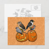 Birdorable Rapers on Pumpkins Postkarte (Vorne/Hinten)