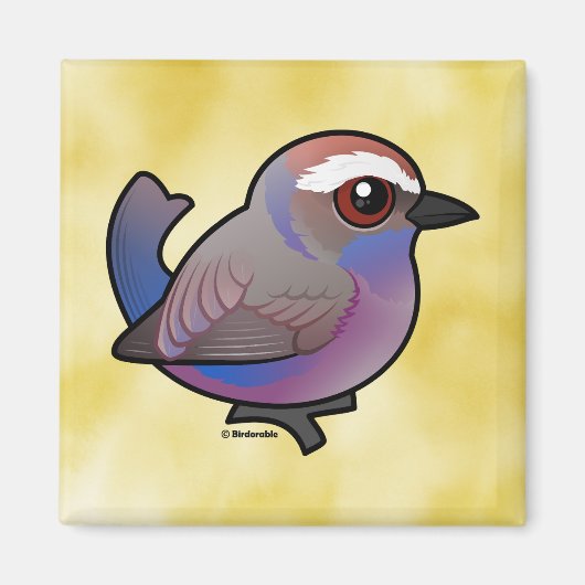 Birdorable, weißbraun Tit-Warbler Magnet (Vorne)