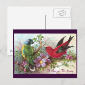 Birds 1800 postkarte (Vorne/Hinten)