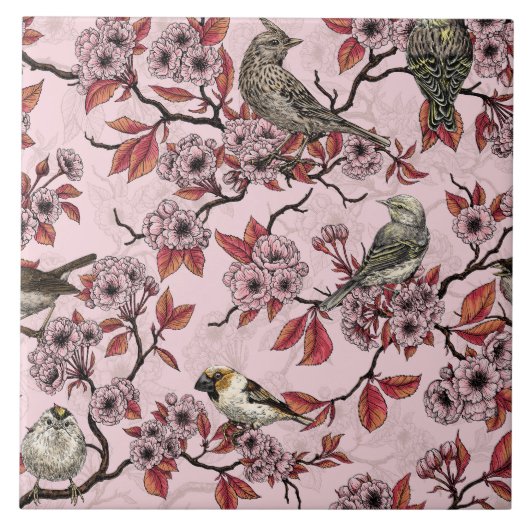 Birds and cherry blossom on rose pink fliese (Vorderseite)