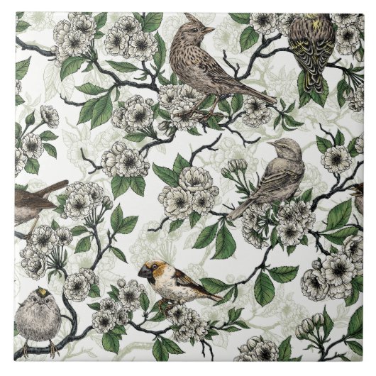 Birds and cherry blossom on white fliese (Vorderseite)