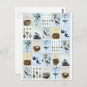 Birds and Nests Postkarte (Vorne/Hinten)