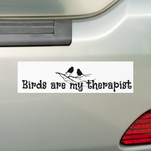 Birds are my Therapist Fun Quote Birder Autoaufkleber (Auf Auto)