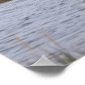 Birds at the Refuge Poster (Ecke)