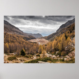BIRD'S AUGENFOTOGRAFIE DER BÄUME IN DER NÄHE DES B POSTER