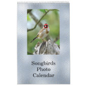 Birds Blue Foto individuell anpassbar Kalender (Titelbild)