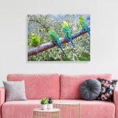 Birds - budgies leinwanddruck (Insitu (Wohnzimmer))