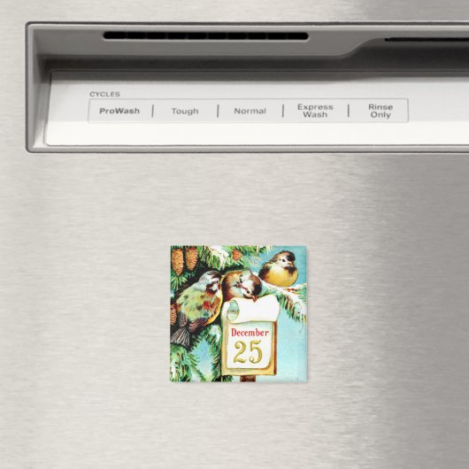 Birds Celebrate Christmas Magnet (In Situ (Geschirrspüler))