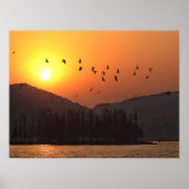 Birds Flying in Sunset Sky Over East Lake Poster (Vorne)