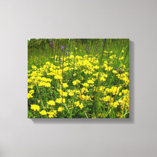 Birds-Fuß Trefoil Canvas Print Leinwanddruck