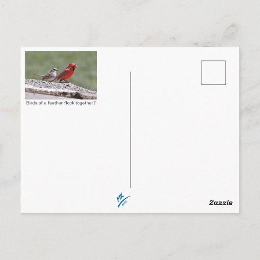 Birds im Shenandoah-Tal: Blauer Jay/Kardinal/Sparr Postkarte (Rückseite)