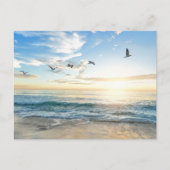 Birds in flight over the ocean postkarte (Vorderseite)