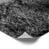 Birds in flight  poster (Ecke)