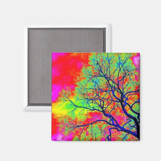 Birds Magnet (Vorderseite/Rückseite)