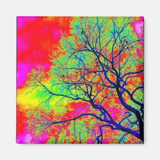 Birds Magnet (Vorne)