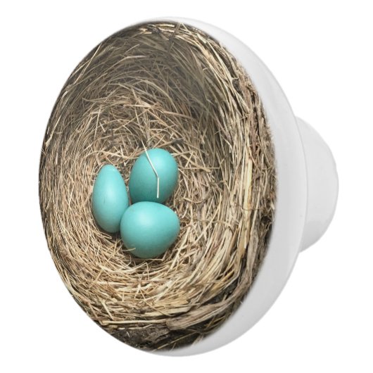 Birds Nest with Blue Eggs Keramikknauf (Rechts)