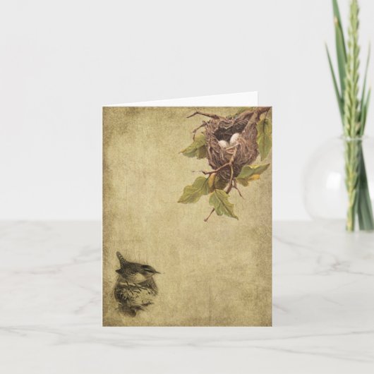 Birds & Nests- Prim Lil Note Cards Karte (Vorderseite)