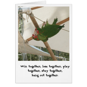 Birds of a Feather