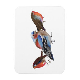 Birds of a Feather 2011 Magnet