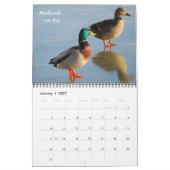 Birds of a Feather Kalender (Jan 2027)