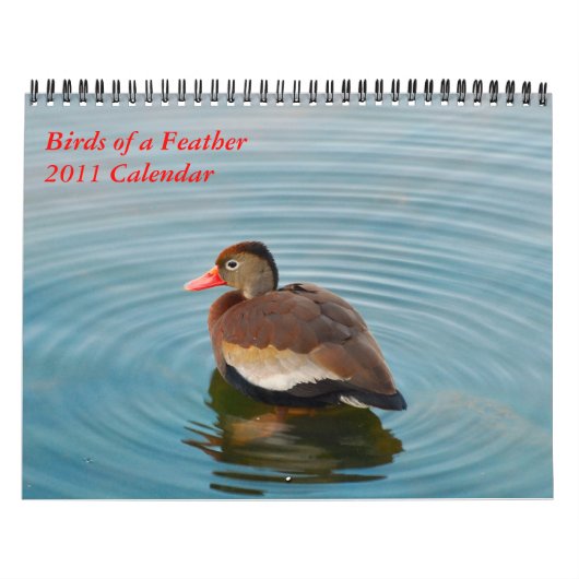 Birds of a Feather Kalender (Titelbild)