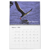 Birds of a Feather Kalender (Feb 2026)