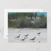 Birds of a Feather, Menge zusammen…. Ankündigungspostkarte (Vorne/Hinten)