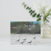 Birds of a Feather, Menge zusammen…. Ankündigungspostkarte (Stehend Vorderseite)