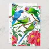 Birds- of a Featherpapageien-Party Einladung (Vorne/Hinten)