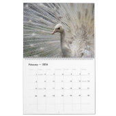 Birds- of a Featherpfau-Kalender Kalender (Feb 2026)