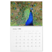 Birds- of a Featherpfau-Kalender Kalender (Jan 2026)