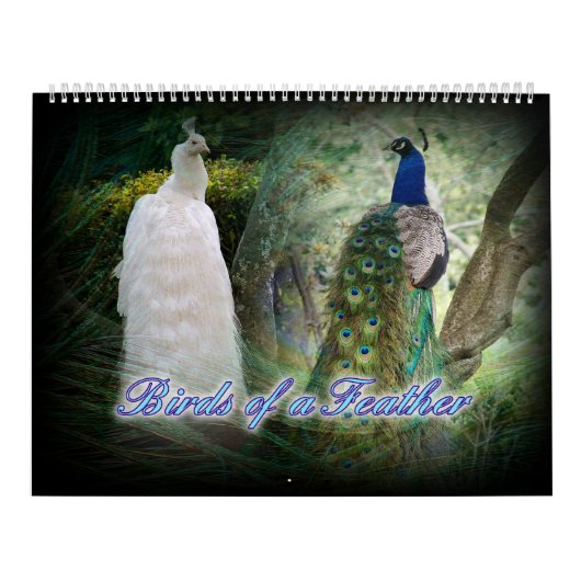 Birds- of a Featherpfau-Kalender Kalender (Titelbild)