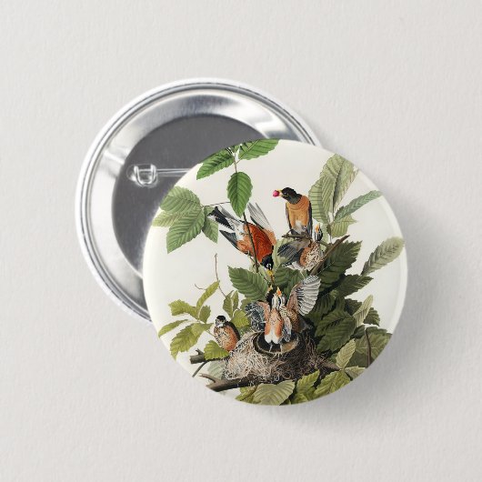 Birds of America (1827) Button (Vorne & Hinten)
