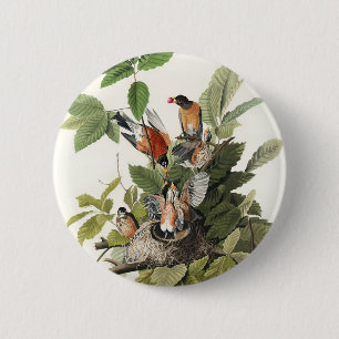 Birds of America (1827) Button