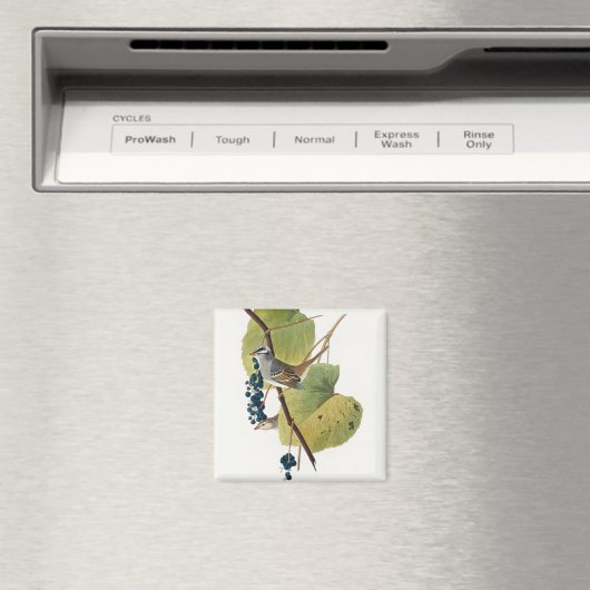 Birds of America (1827) Magnet (In Situ (Geschirrspüler))