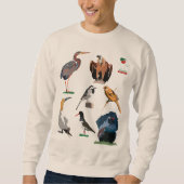 Birds of Germany 1 Sweatshirt (Vorderseite)